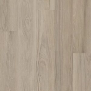 Breaker's Point 5.0 by Shaw Floors - Lookout Pass (Ashlar)