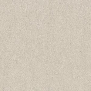 COZY HARBOR II by Shaw Floors - Delicate Cream