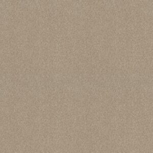 FIND YOUR COMFORT TT I by Shaw Floors - Dinner With Friends (T)