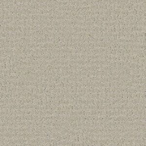 ACTIVATE by Shaw Floors - Cold Water