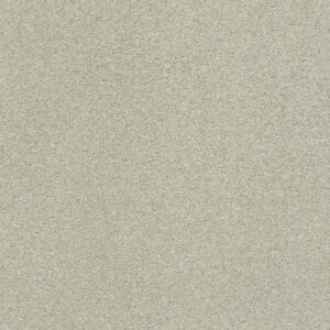 FIND YOUR COMFORT NS I by Shaw Floors - Willow Tree (S)