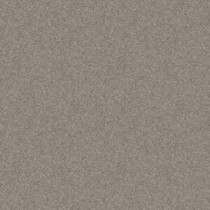 FIND YOUR COMFORT TA I by Shaw Floors - Long Bridge (A)