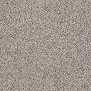 PLATINUM TEXTURE ACCENTS by Shaw Floors - Quartz