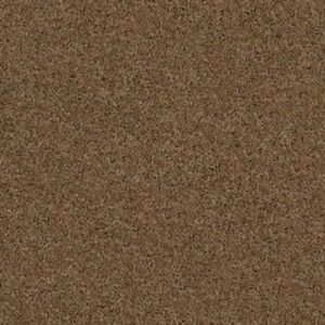 BEST BASICS by Shaw Floors - Travertine