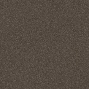 HARD AT PLAY III 12' by Shaw Floors - Urban Rustic
