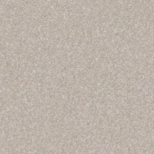 MOMENT OF TRUTH by Shaw Floors - Greige