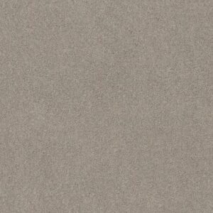 OPPORTUNITY KNOCKS by Shaw Floors - Frosted Ice