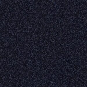 FULL COURT 15' by Shaw Floors - Evening Sky