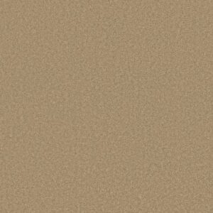 LUXURY BAY III by Shaw Floors - Taffeta