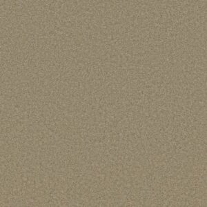 LUXURY BAY III by Shaw Floors - Driftwood