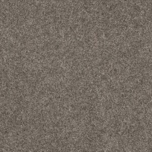 YES YOU CAN II 12' by Shaw Floors - Ashes