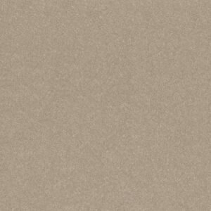 HARD AT PLAY III 15' by Shaw Floors - Subtle Clay