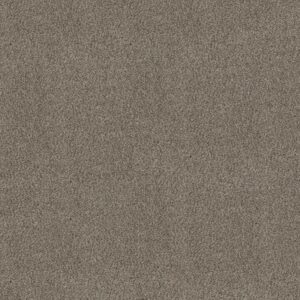 TRUSPIRIT I by Shaw Floors - Truffle