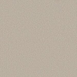 HARMONIOUS I by Shaw Floors - Champagne Toast