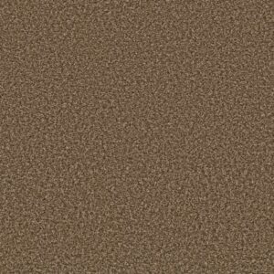 BREAK AWAY (B) by Shaw Floors - Good Earth