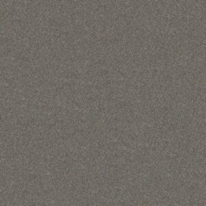 WITHOUT LIMITS II by Shaw Floors - Tundra