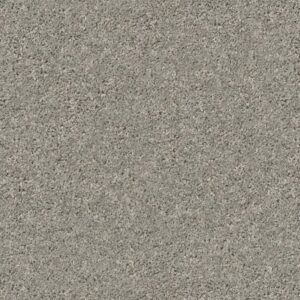 SHAKE IT UP (S) by Shaw Floors - Cement