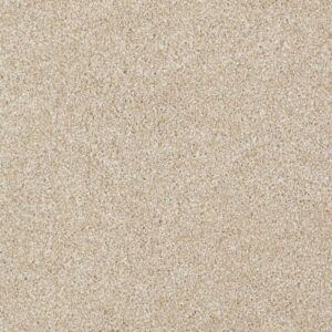 ALWAYS READY II by Shaw Floors - Gold Rush