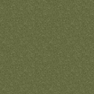 NEWBERN CLASSIC 12' by Shaw Floors - Going Green