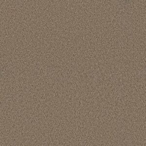 ELEMENTAL MIX II by Shaw Floors - Arrowhead