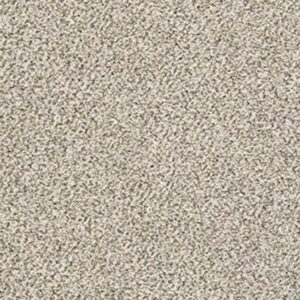 ALL SET II by Shaw Floors - Goose Feather