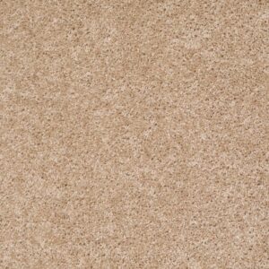 COLESVILLE 12' by Shaw Floors - Quiet Splendor