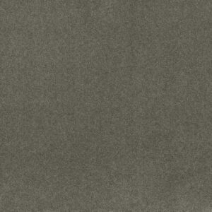 INSPIRED BY III by Shaw Floors - Fog