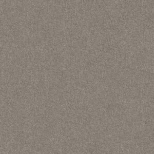 GO AFTER IT 3 by Shaw Floors - Spinning Wheel