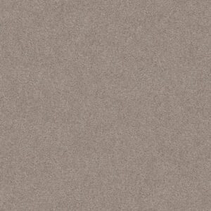 SWEET INSPIRATION II by Shaw Floors - Khaki