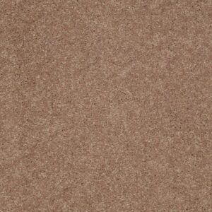 BEAUTIFULLY SIMPLE II 15' by Shaw Floors - Pebble Creek