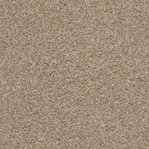 POISED by Shaw Floors - Artisan