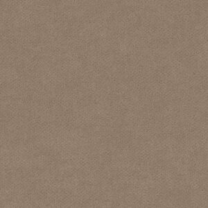 MAINSTAY by Shaw Floors - Desert View