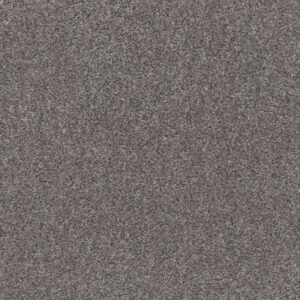 CALM SIMPLICITY I by Shaw Floors - Harbor Dock