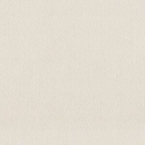 MAINSTAY by Shaw Floors - Serene Still