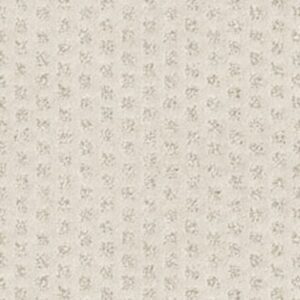 THE ARTS by Shaw Floors - Mohair