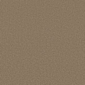ELEMENTAL MIX I by Shaw Floors - Bridle Leather