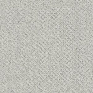 SMART THINKING by Shaw Floors - Cloudy Day