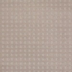 THE FAIR by Shaw Floors - Grey Dove