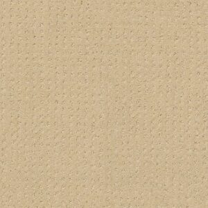 MY INSPIRATION PATTERN by Shaw Floors - French Linen