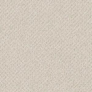 ARTIST VIEW LOOP by Shaw Floors - Bare Essence