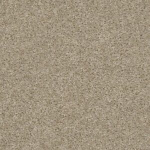 MAX APPEAL by Shaw Floors - Amazing Greige
