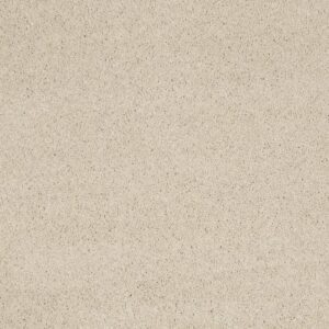 QUIET COMFORT I by Shaw Floors - Cheviot