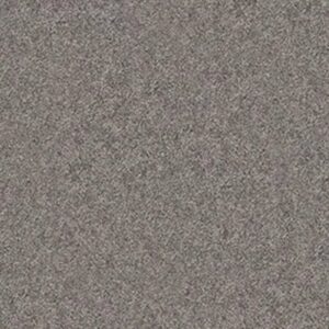 QUIET COMFORT CLASSIC II by Shaw Floors - Chinchilla