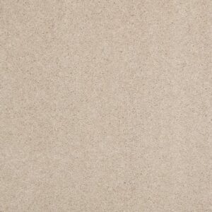 QUIET COMFORT CLASSIC II by Shaw Floors - Harvest Moon