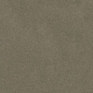 SALINA I by Shaw Floors - Wild Dove