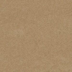 SALINA I by Shaw Floors - Chamois