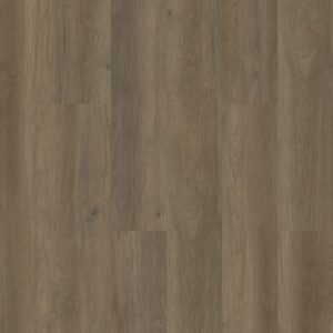 Infinite 12 by Shaw Floors - Raconteur
