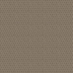 MY EXPRESSION by Shaw Floors - Dundee
