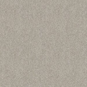 DELICATE DISTINCTION CLASSIC II by Shaw Floors - Baybridge