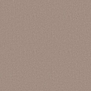 HOLLYWOOD REGENCY II 15' by Shaw Floors - Basket